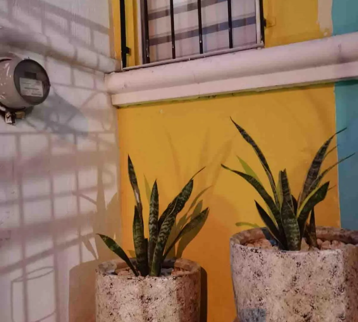 הוילה גואדלחארה House Near The Airport